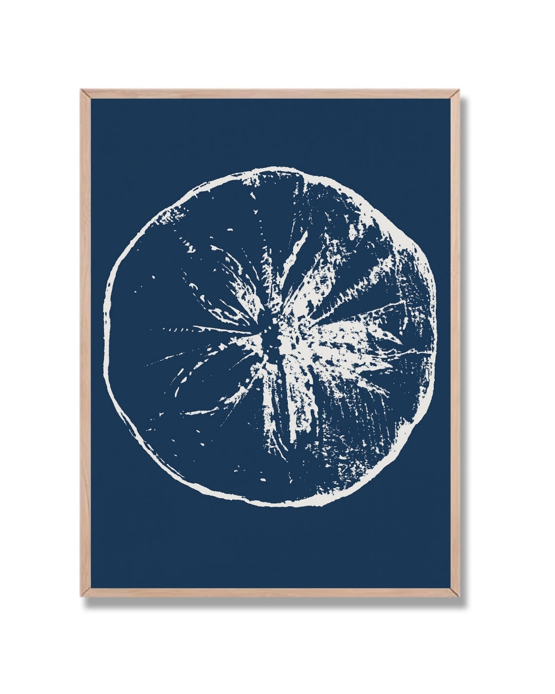 Erizo de mar en azul