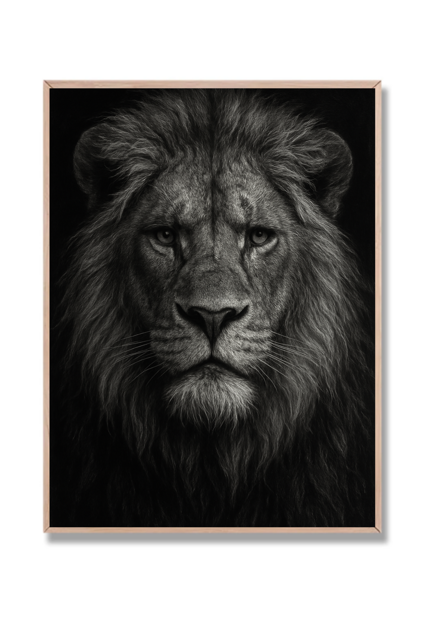 León Foto