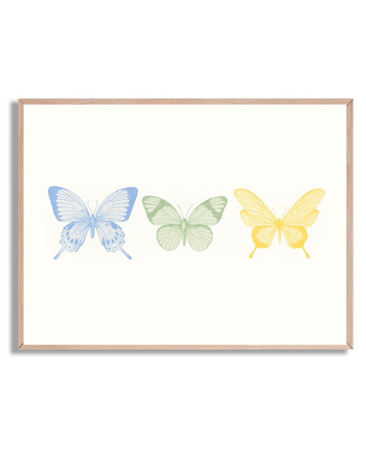 3 Mariposas