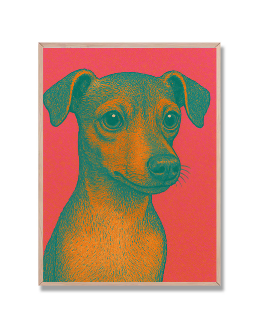 Perro Pop