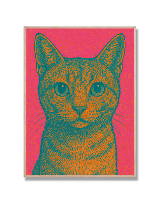 Gato pop