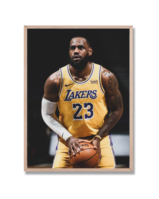 Lebron James #11