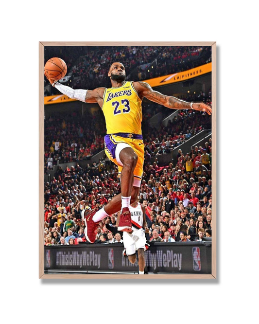 Lebron James #8