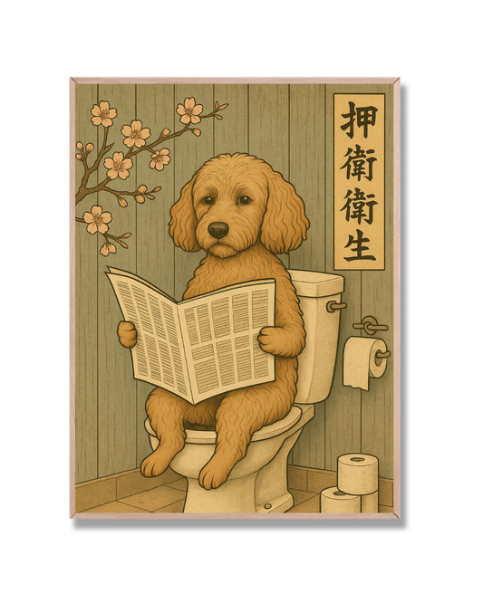 Caniche Baño #2
