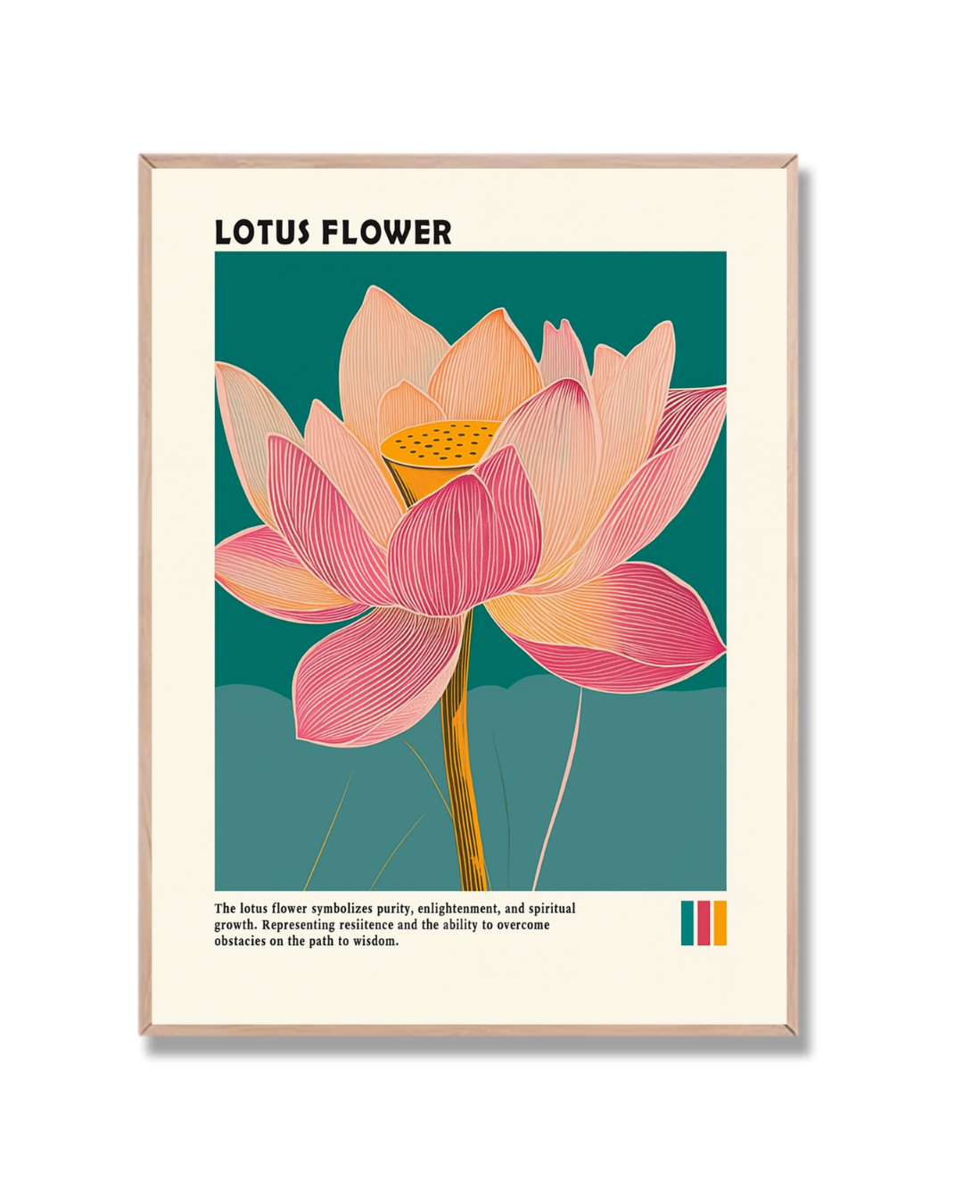 Lotus Flower
