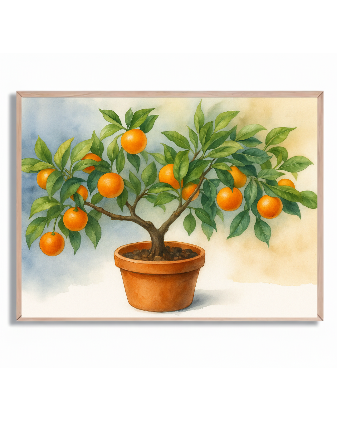 Naranjo en maceta