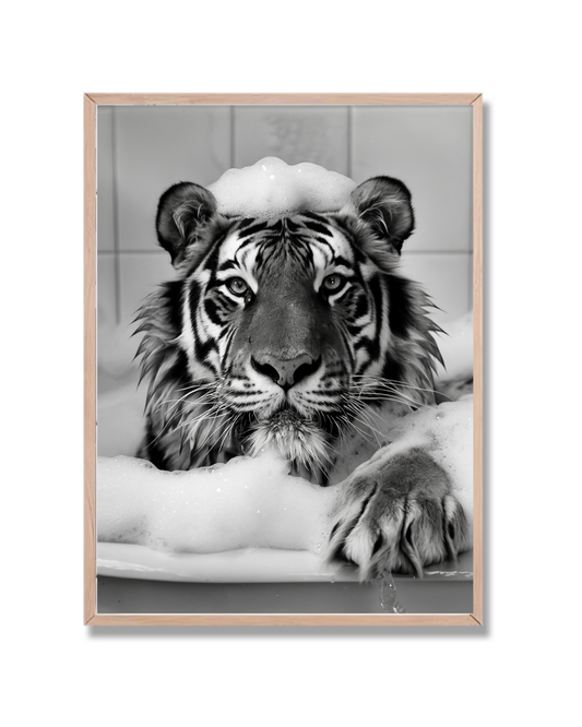 Tigre Baño 2