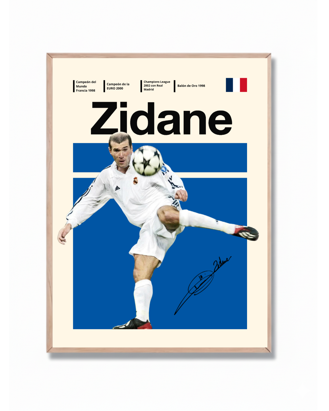 Zidane Poster