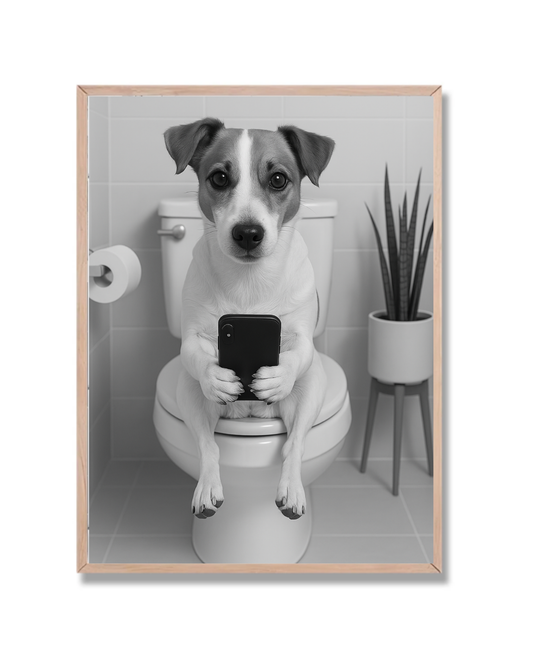 Baño y Celular