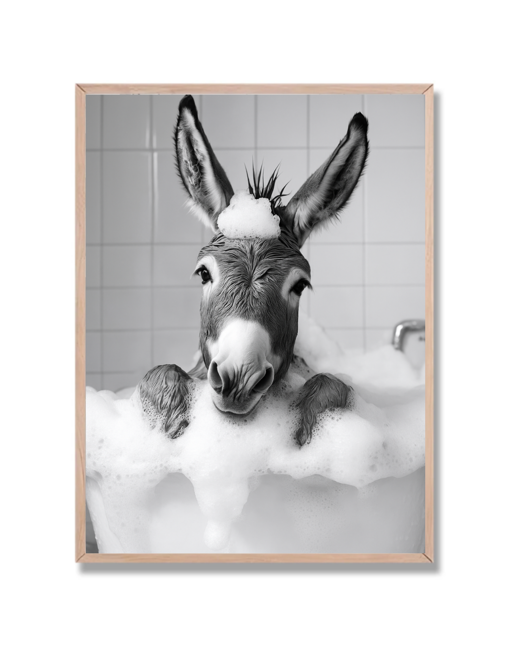 Burro Baño