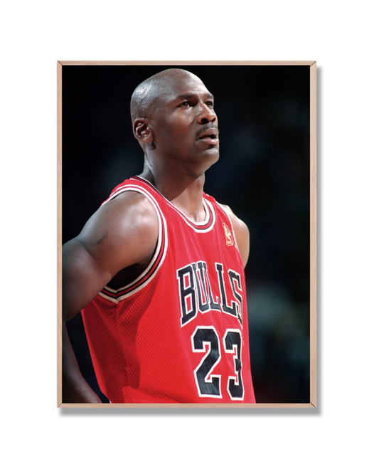 Michael Jordan #13