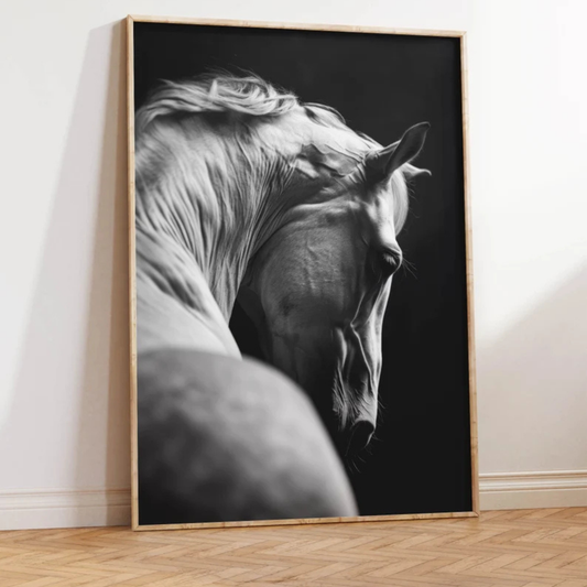Individual Caballo Sombrío