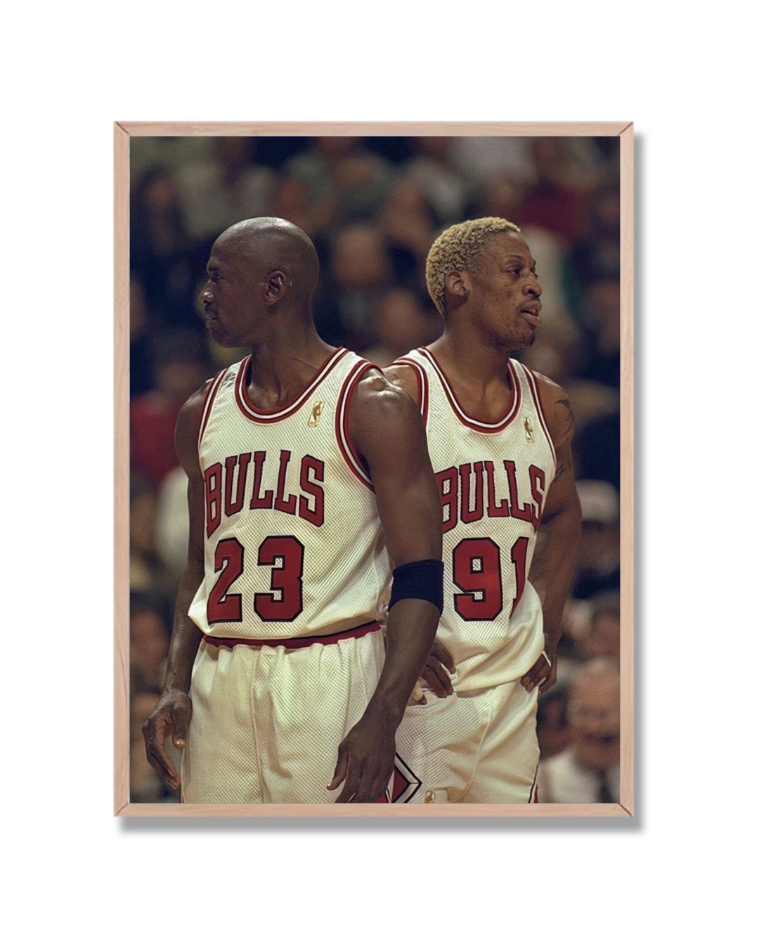 Michael Jordan y Dennis Rodman 1