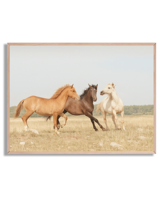 3 caballos
