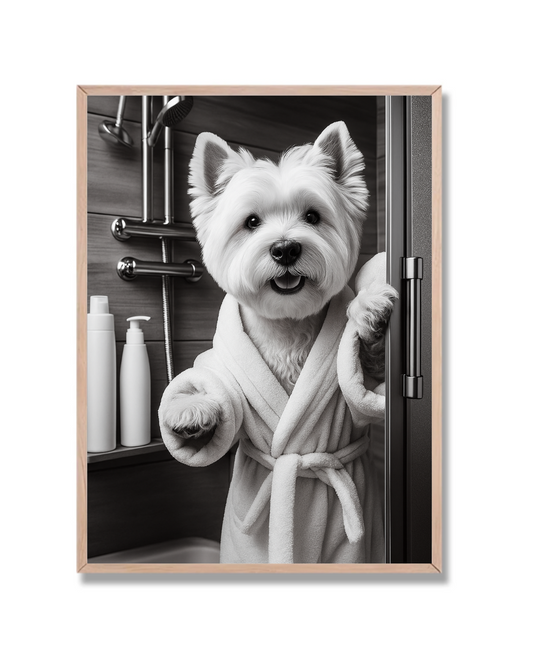Perro baño 2
