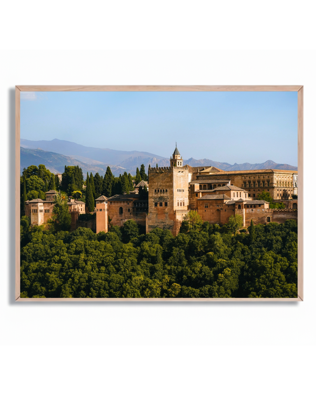 Alhambra Granada #1