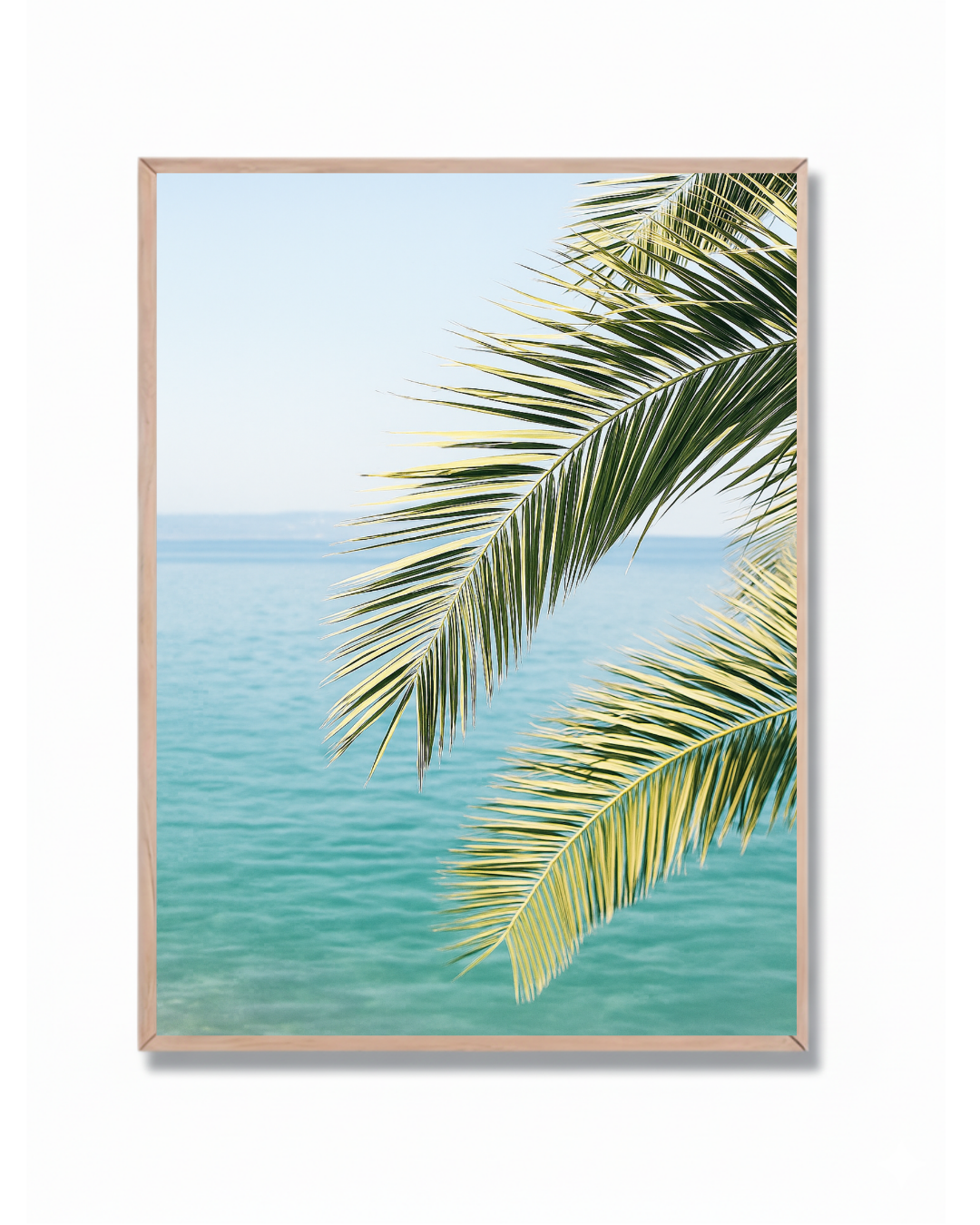 Palmera sobre mar