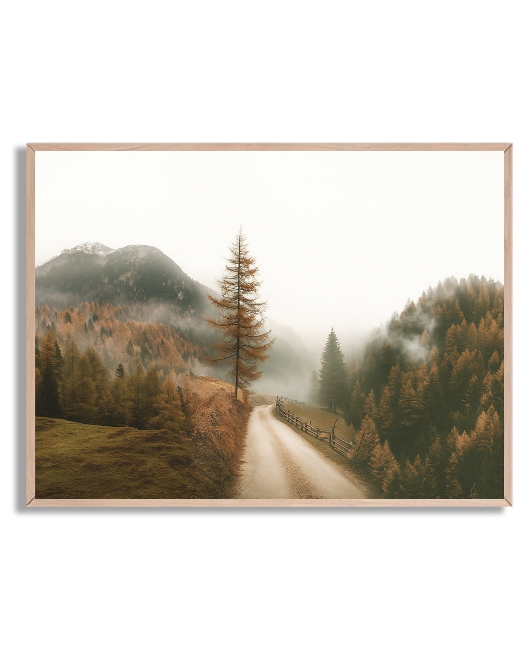 Camino entre montañas