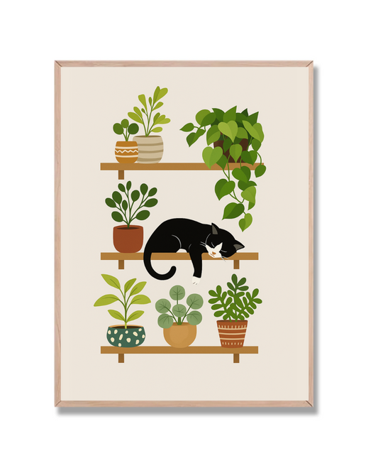 Gato y Plantas