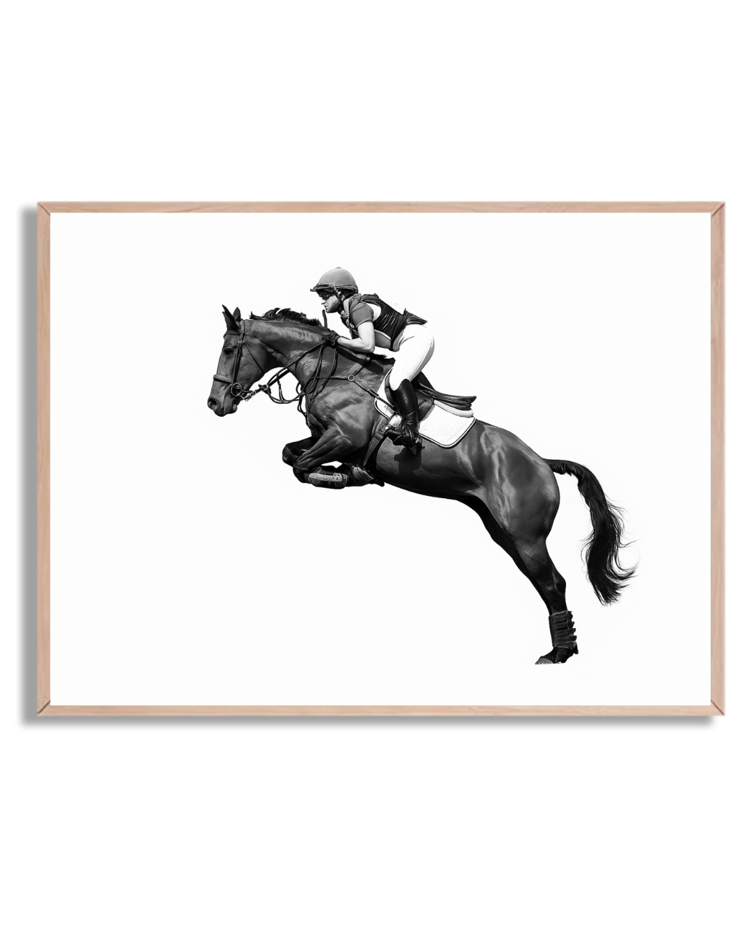 Caballo y Jinete