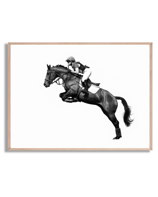 Caballo y Jinete