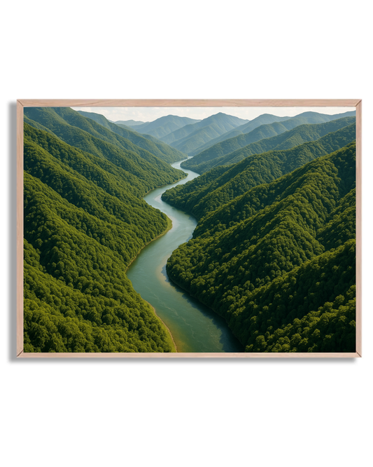 Río en el bosque montañoso