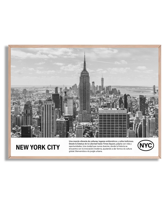 New York 24