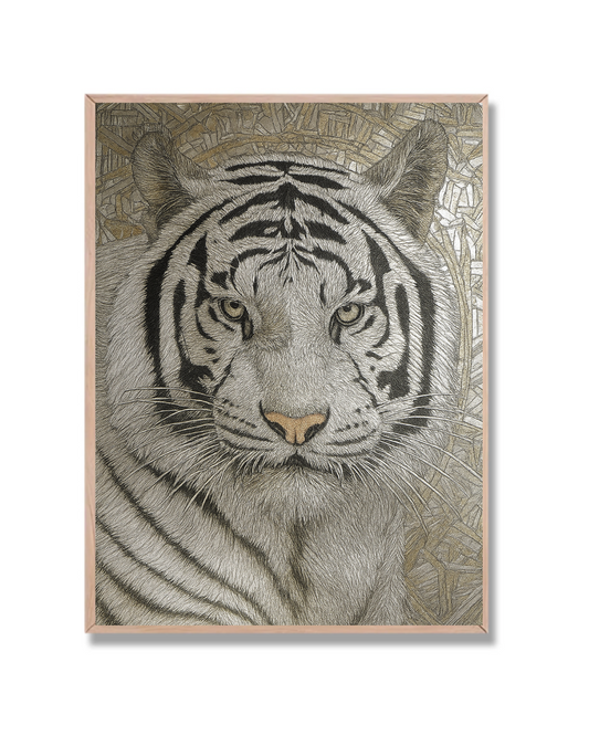 Tigre Blanco