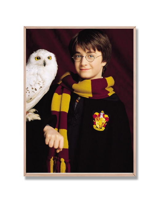 Harry Potter 2