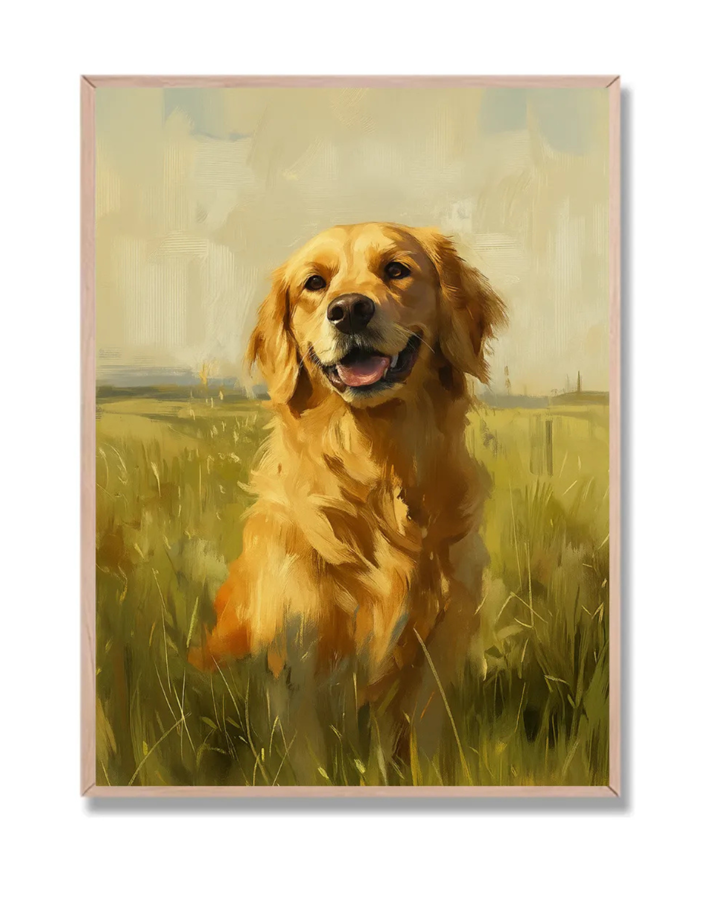 Golden en campo soleado