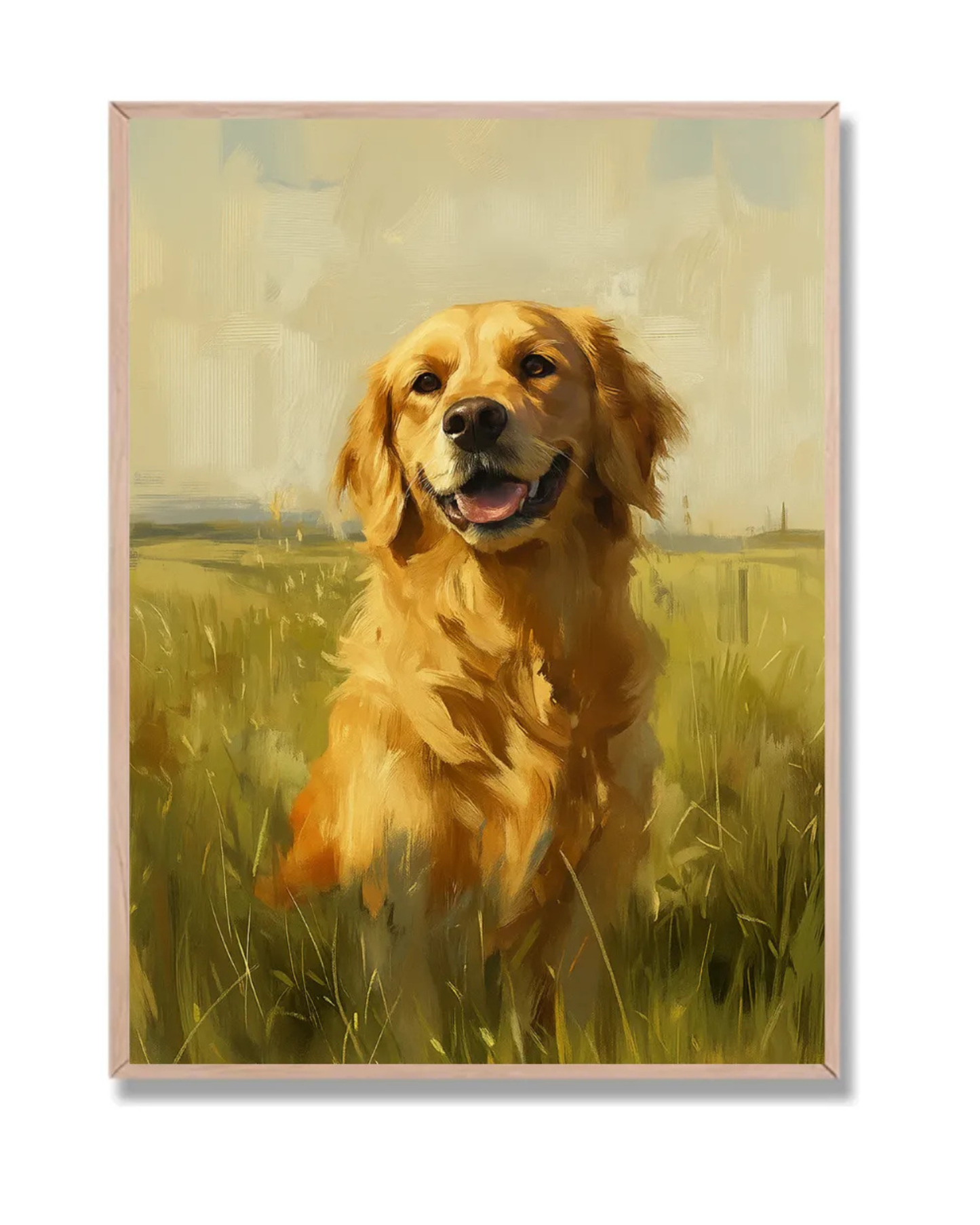 Golden en campo soleado