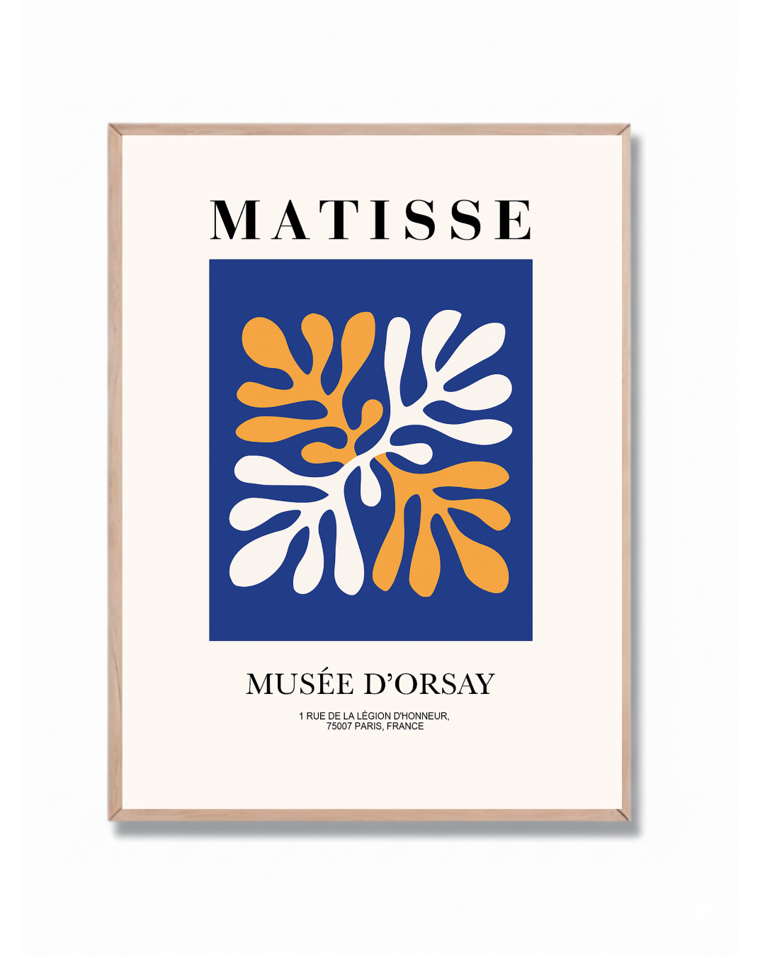 Matisse #17