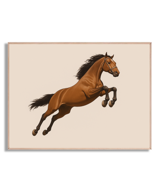 Caballo 16