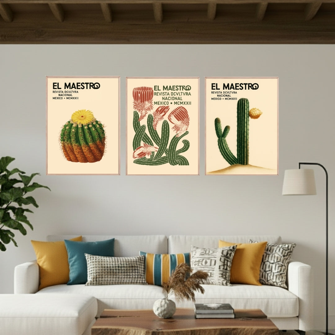 Set de 3 Cactus Retro