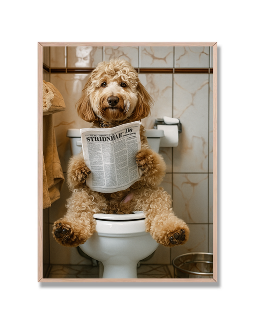 Perro en el trono