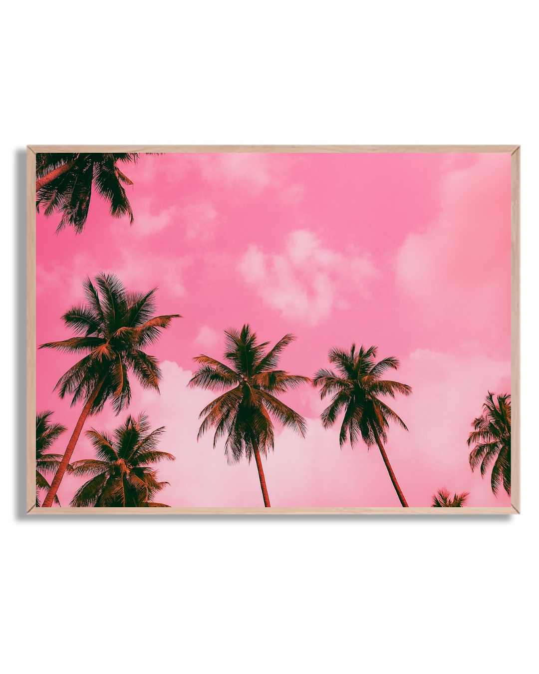 Palmeras y cielo rosa