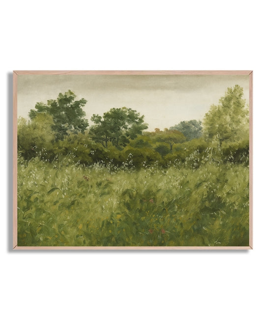 Campo con árboles