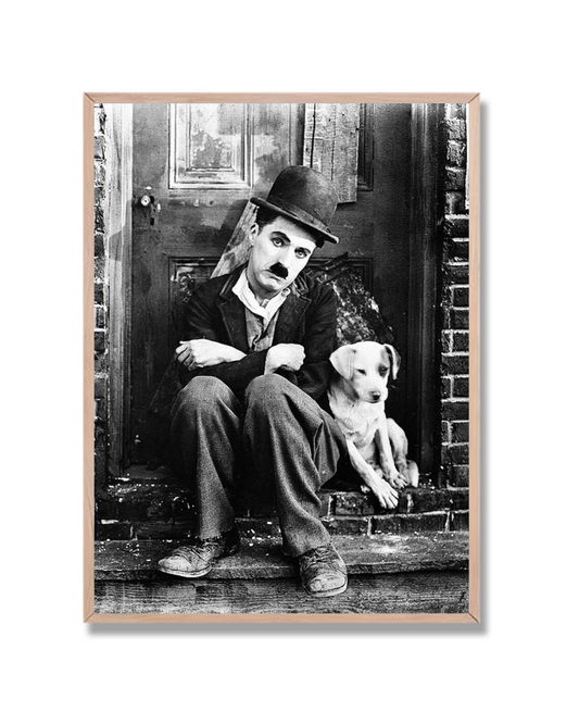 Chaplin 6