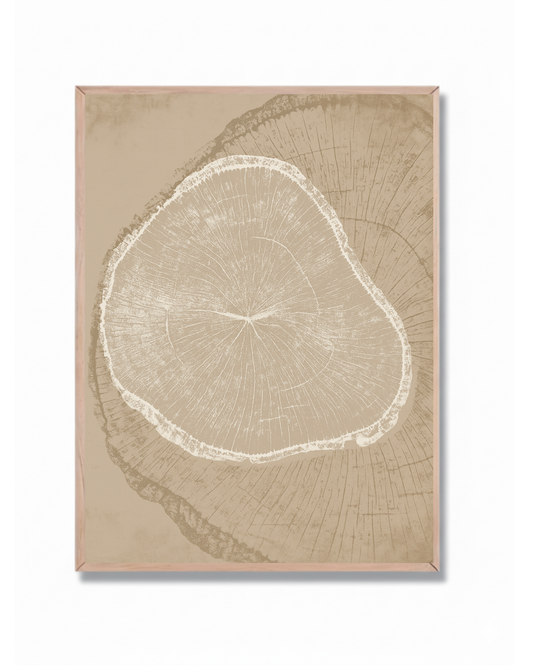 Anillos de Árbol #5