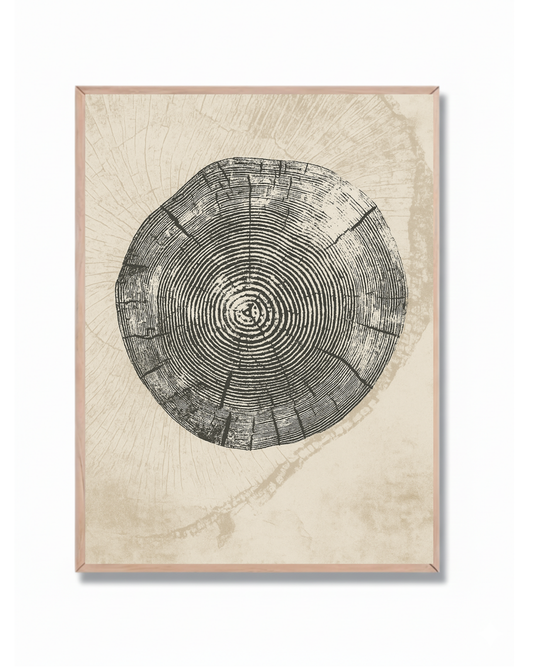 Anillos de Árbol #4