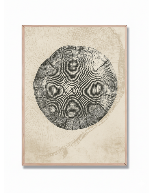 Anillos de Árbol #4