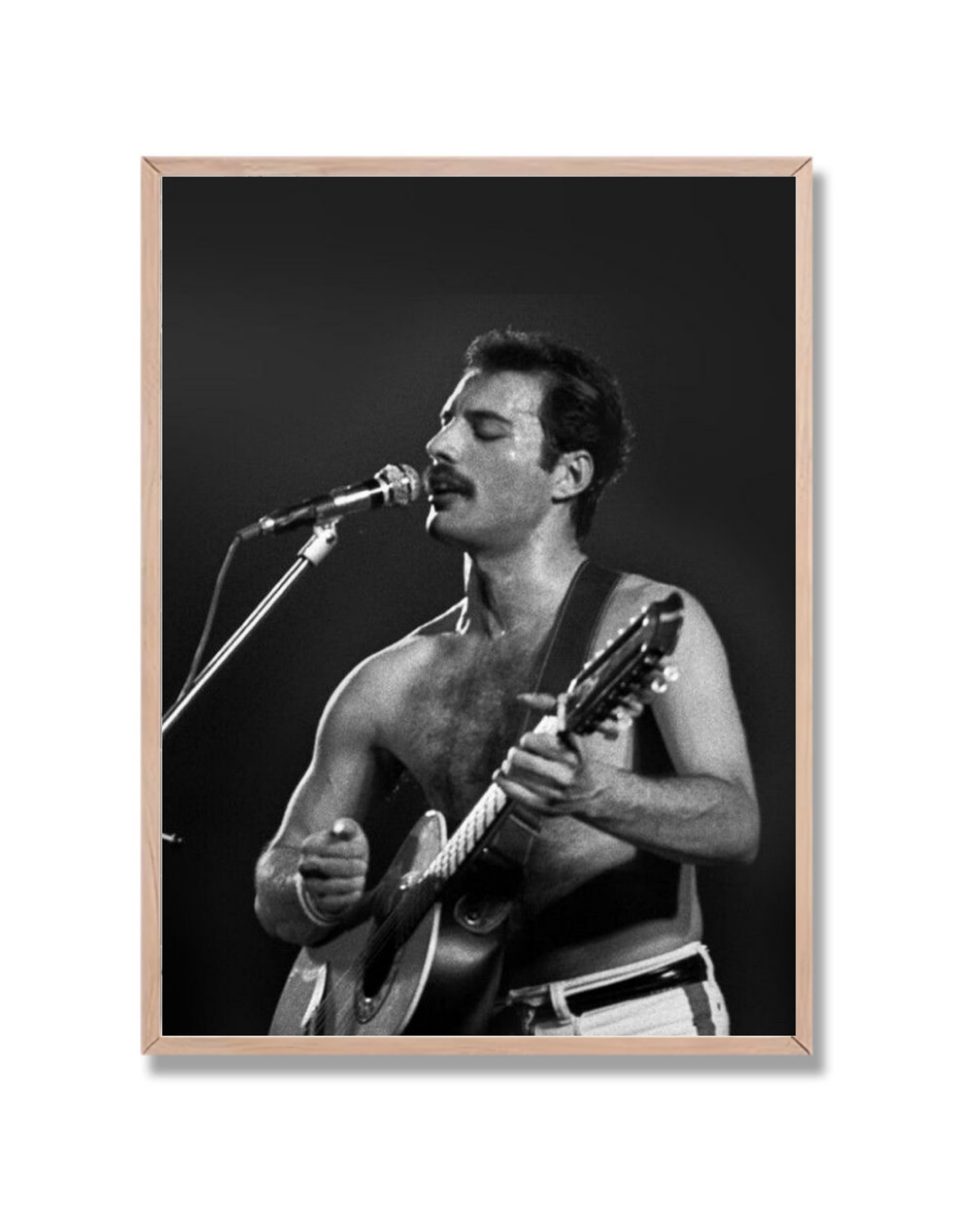 Freddy Mercury 3