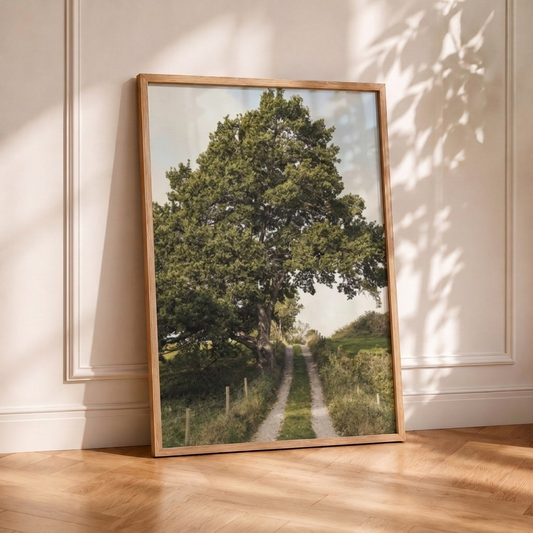 Árbol Camino Rural