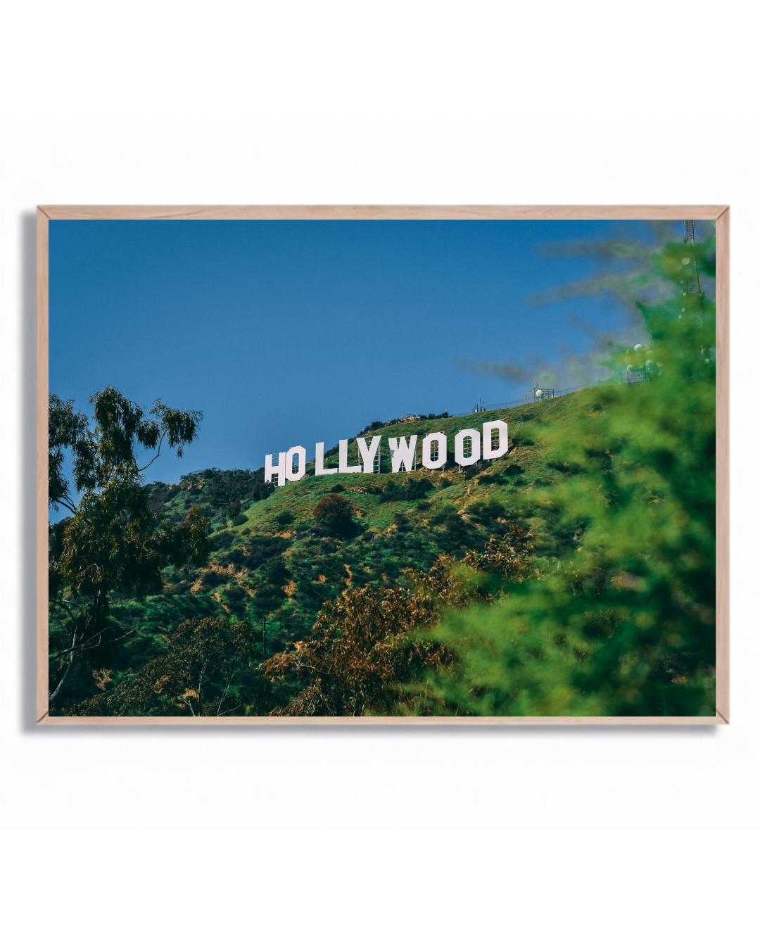 Hollywood #2