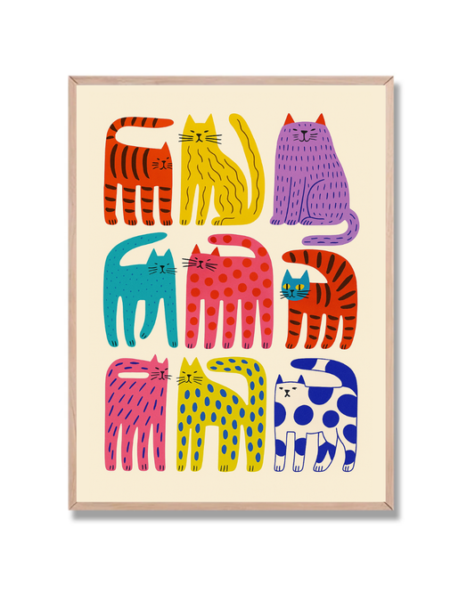 9 Gatos