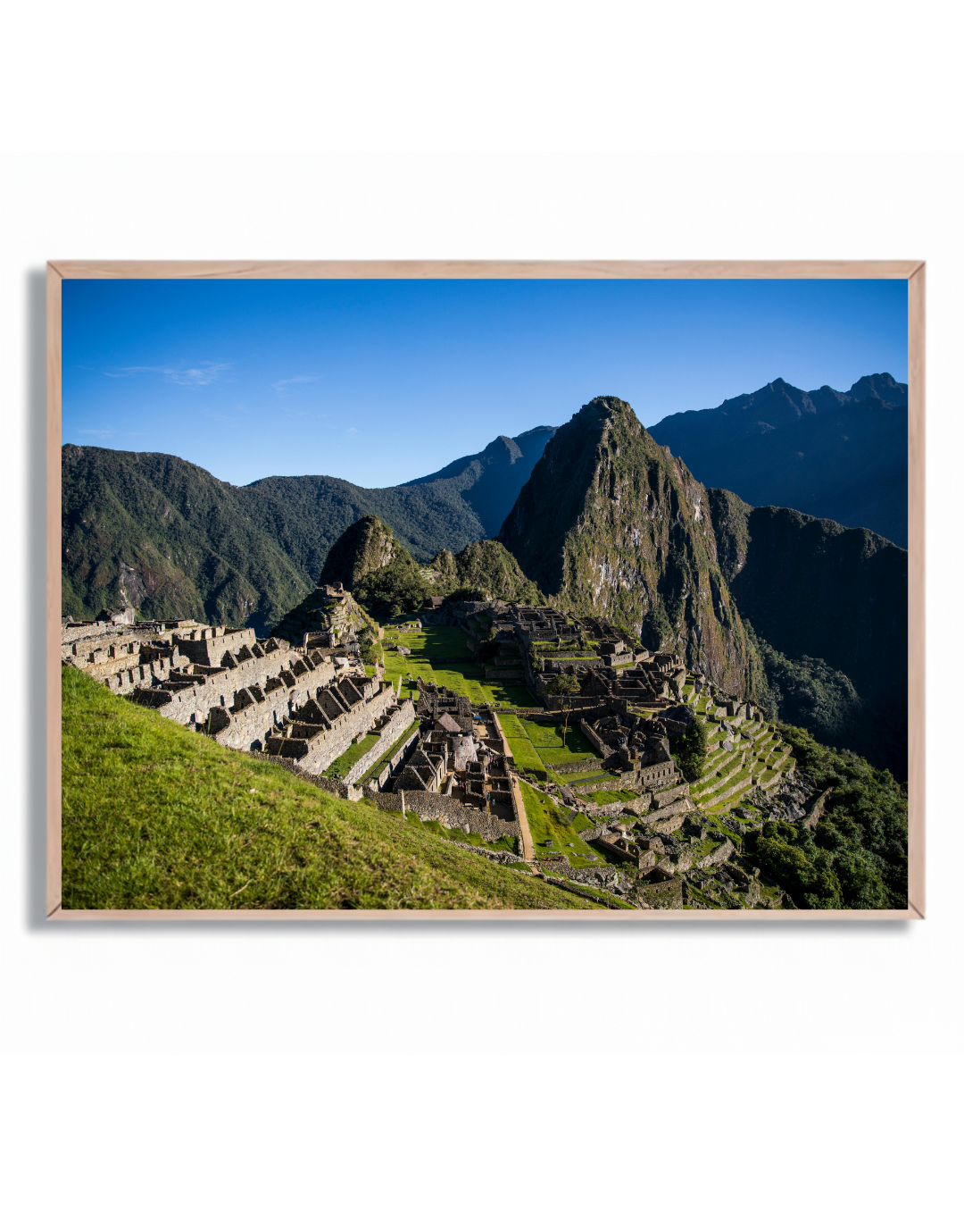 Machu Pichu #5