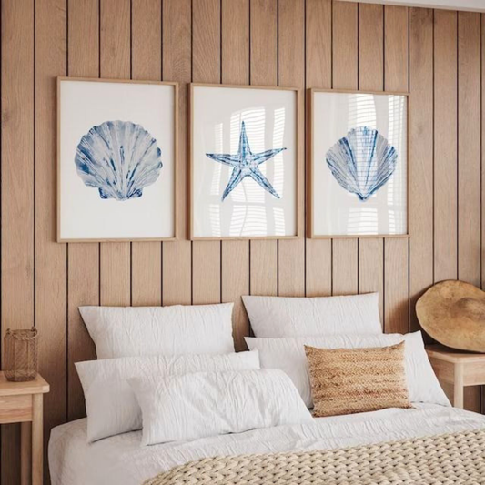 Set de 3 Conchas Azules