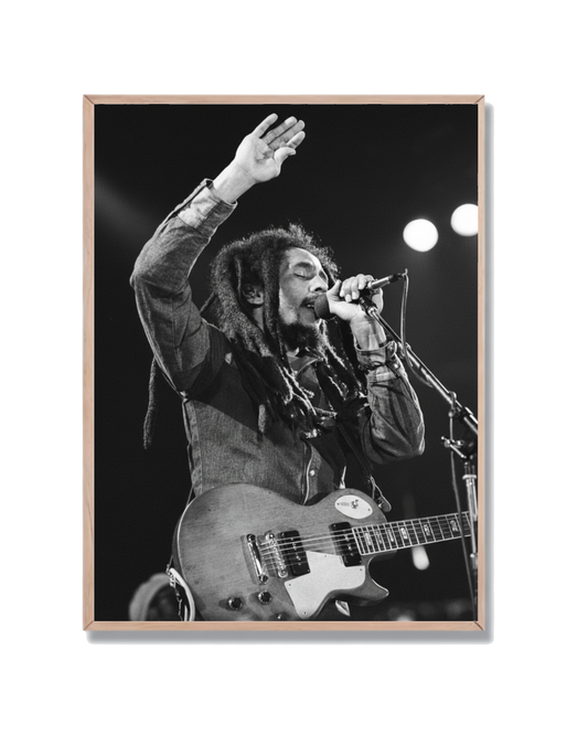 Bob Marley Concierto