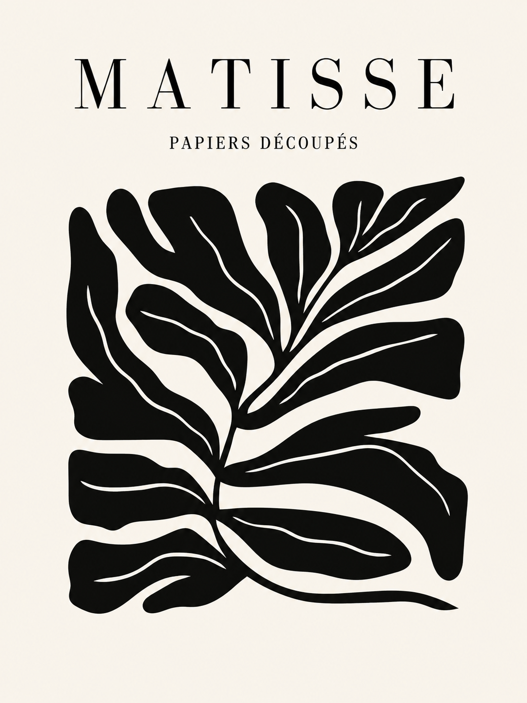 Matisse Botánica lineal negra