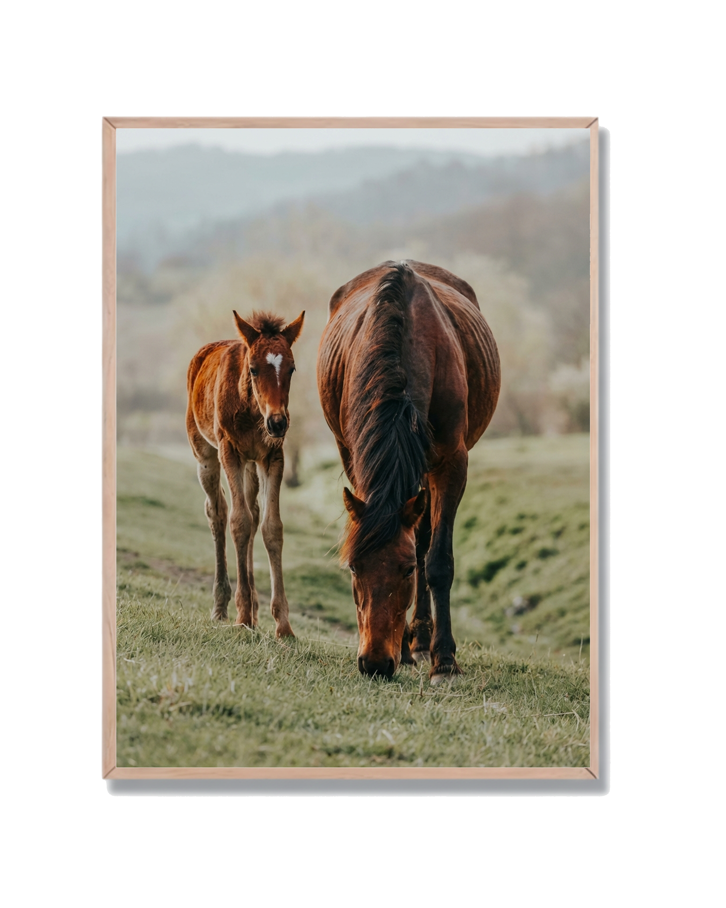 Caballo Potro Corazón